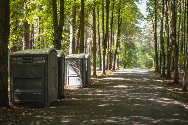 Best Best portable toilet rental  in Hornell, NY